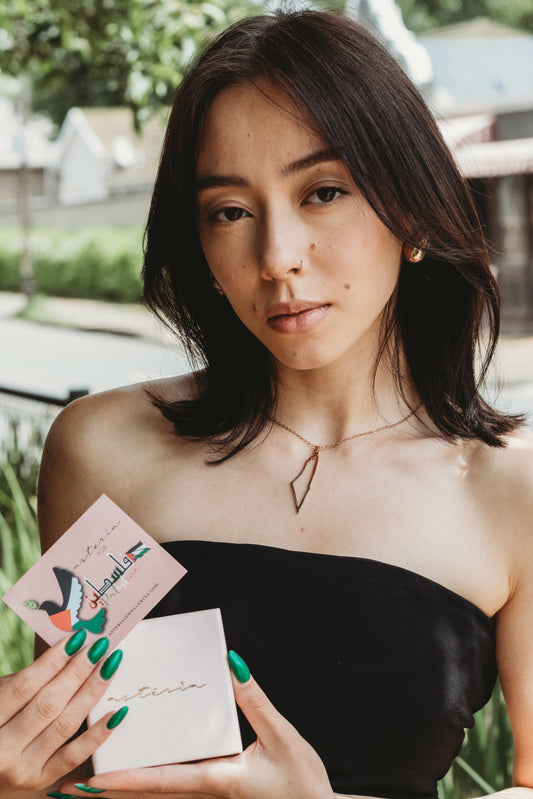 Palestine Forever Map Necklace (Stainless Steel)