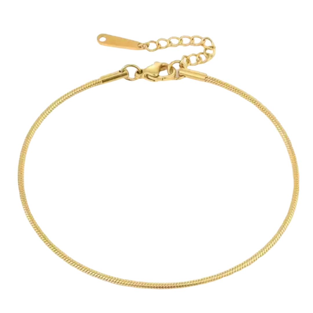 Skinny Snake Gold Anklet