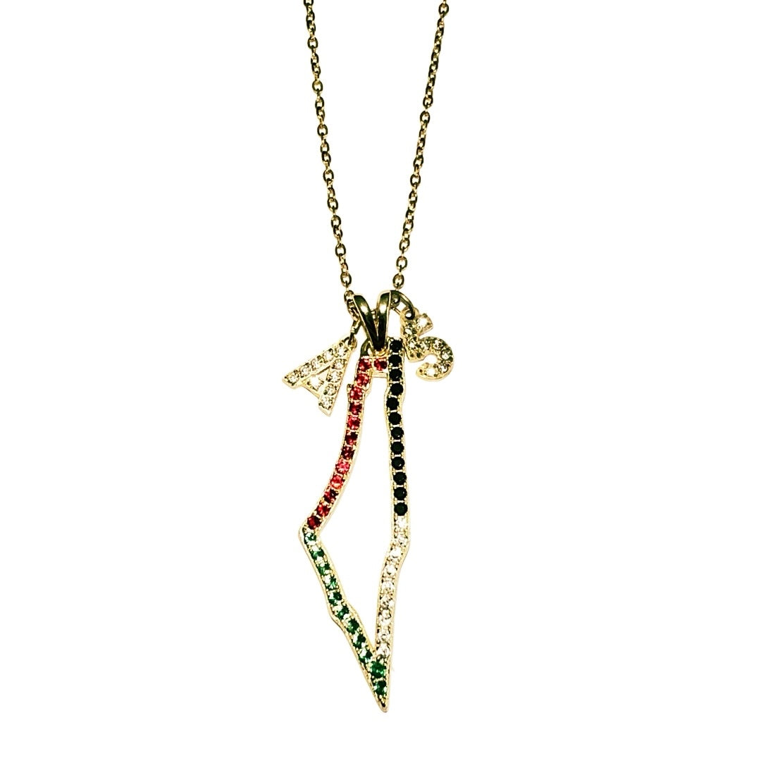 Personalised Number & Initial Colour Palestine Map Necklace