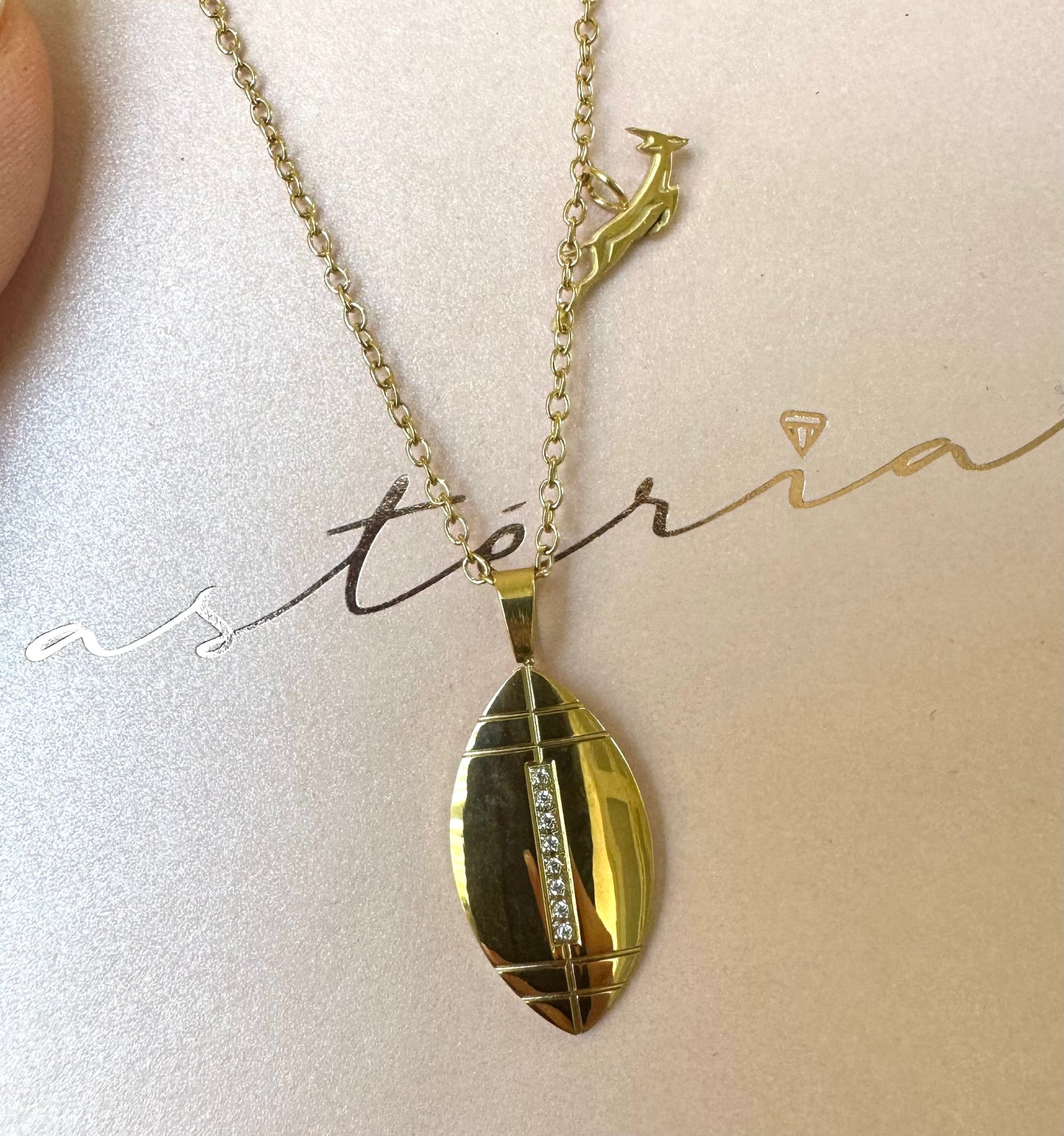 The Champions Springbok Charm Necklace