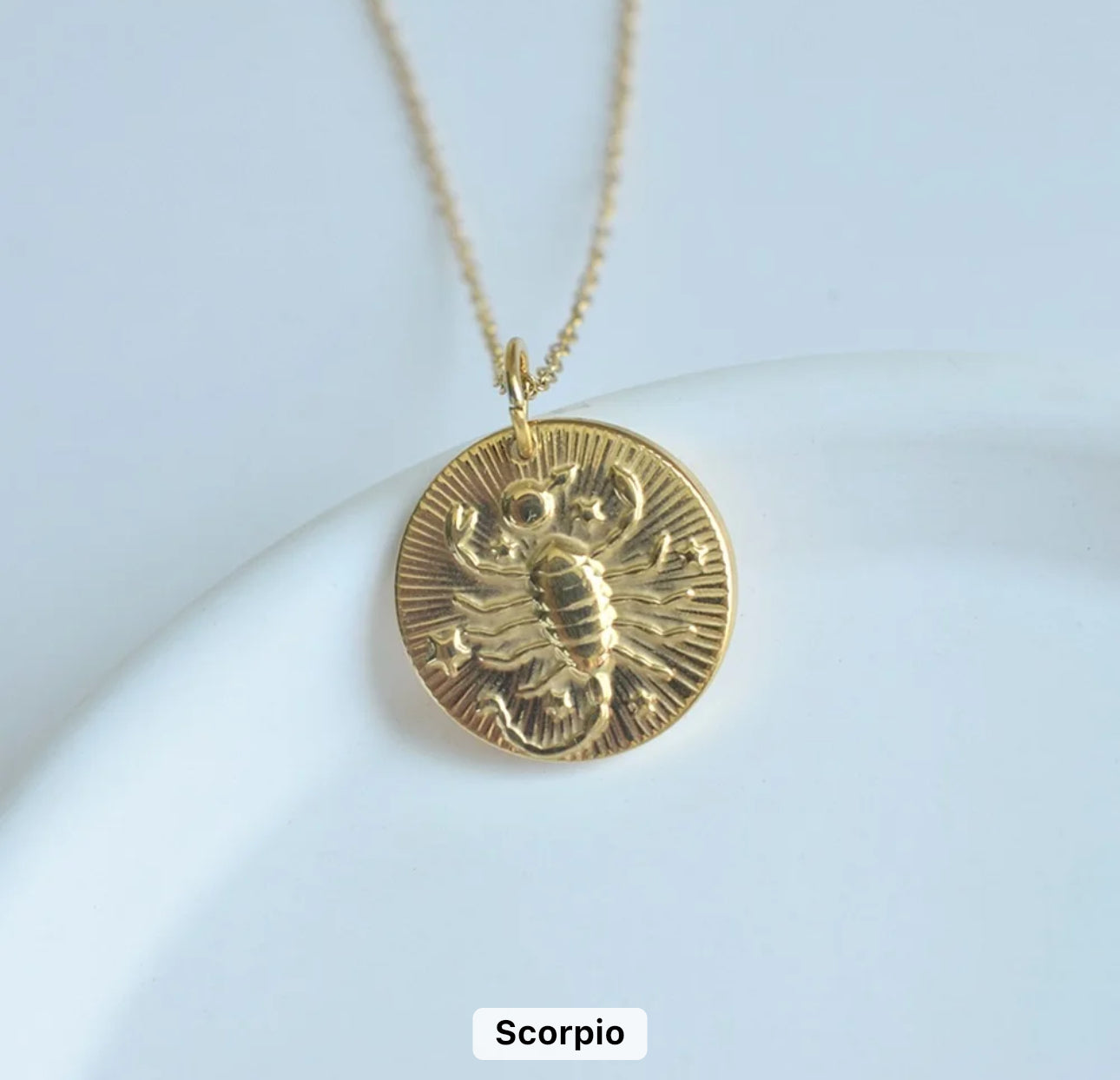 Gold Zodiac Medallion Necklace (Stainless Steel)