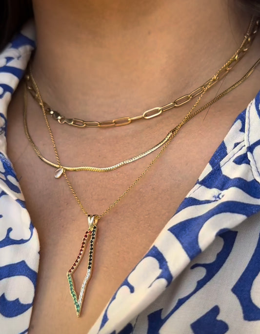 Designer Pave Colour Palestine Map Necklace (925)