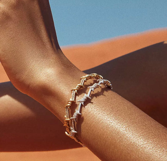 Euro Bangle