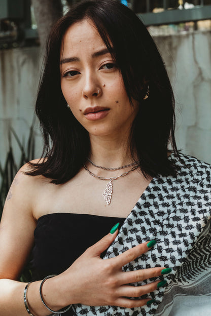 Silver Double Layer Paperclip Palestine Necklace
