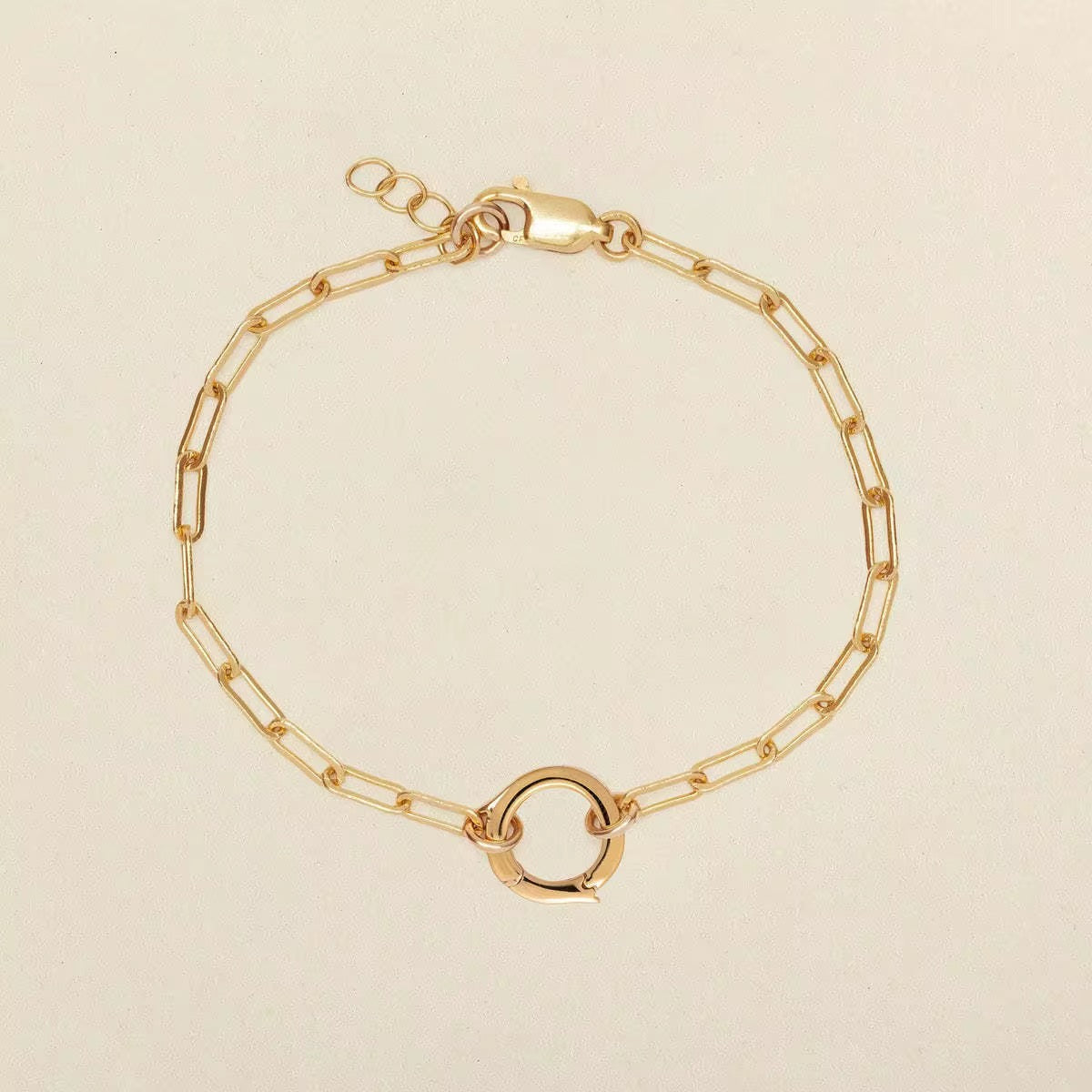 Chic Series Charmed (Stainless Steel, Paperclip & Rollolink Necklace & Bracelet)