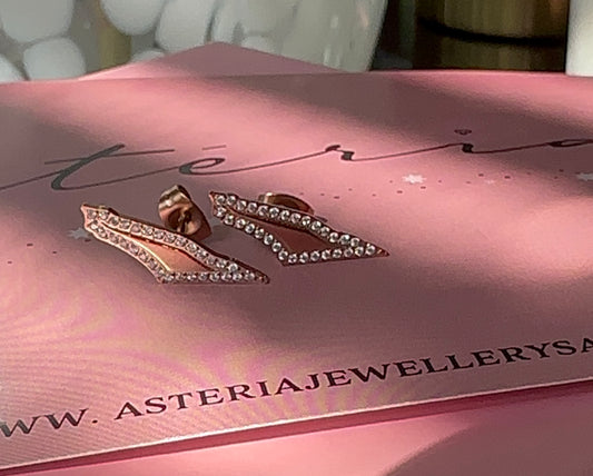 Rose Mirror Palestine Stud Earrings
