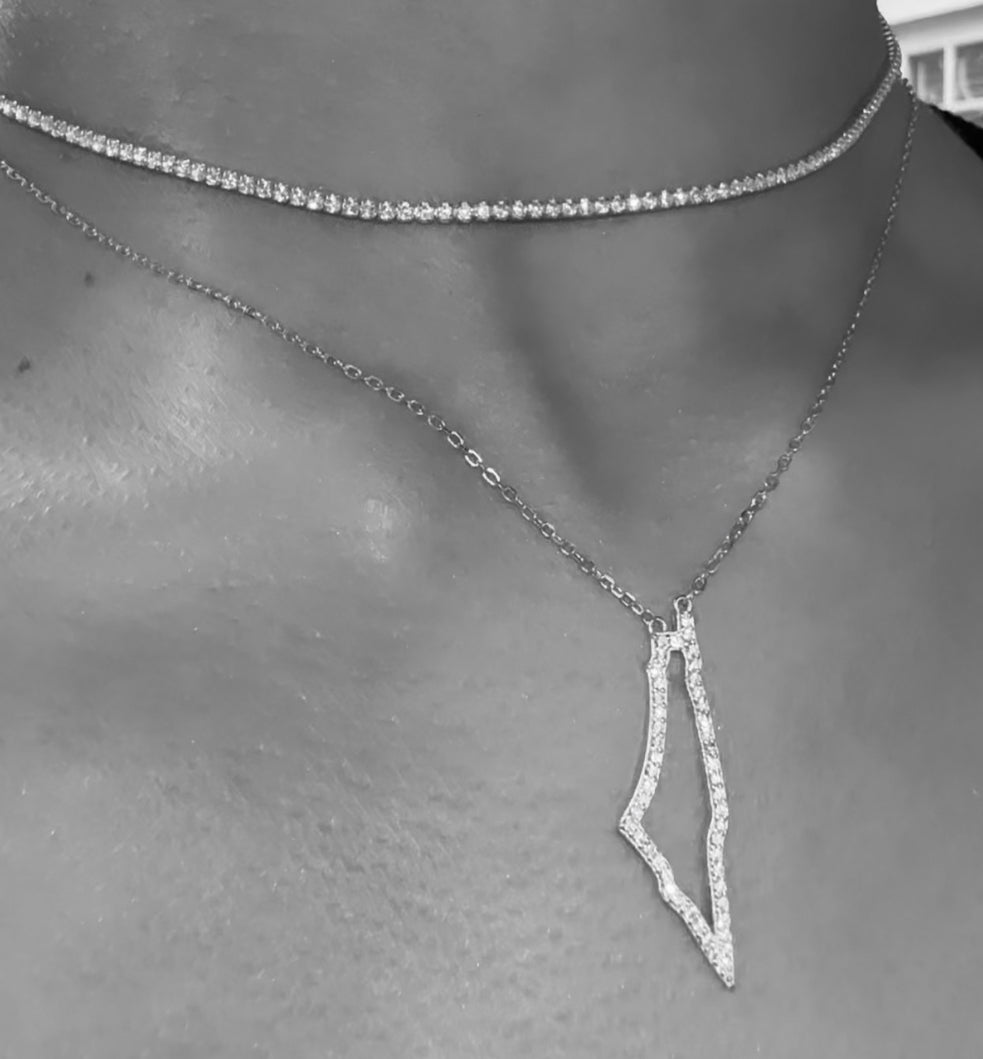 Silver Pave Palestine NSCD Necklace (925)