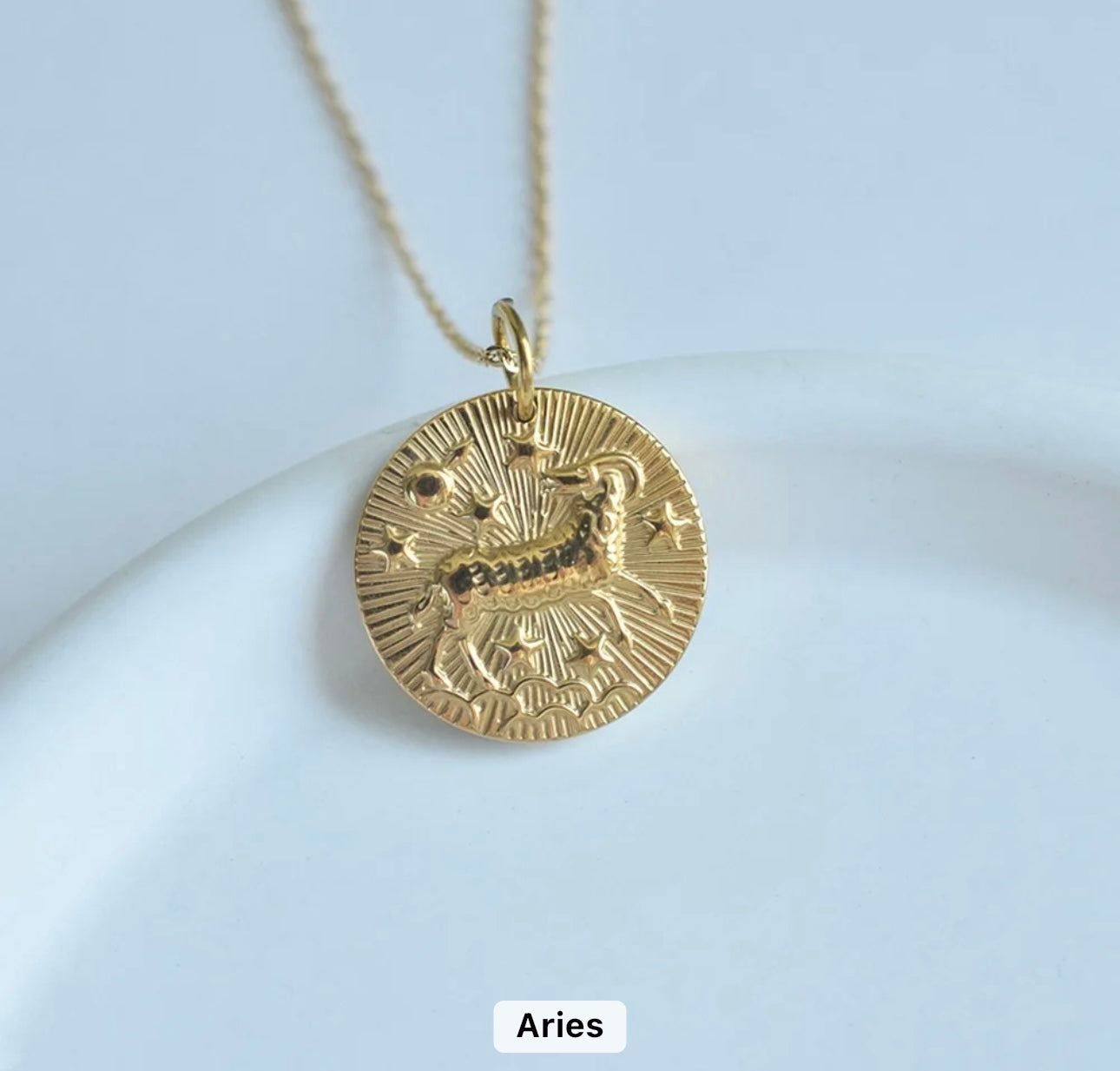 Gold Zodiac Medallion Necklace (Stainless Steel)