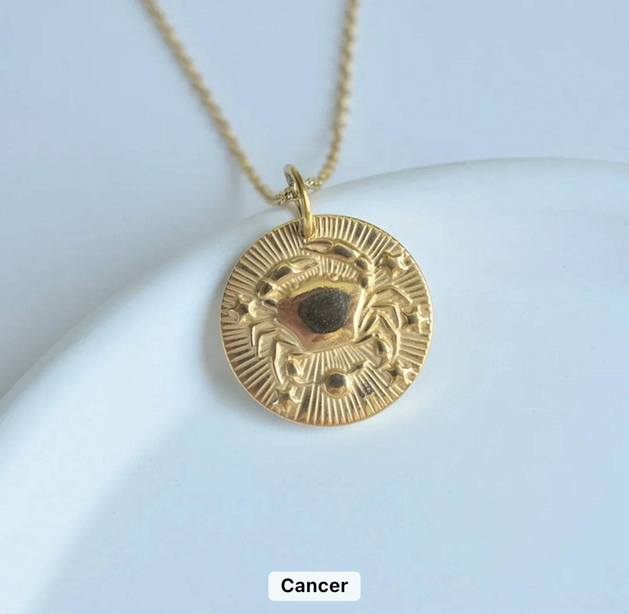 Gold Zodiac Medallion Necklace (Stainless Steel)