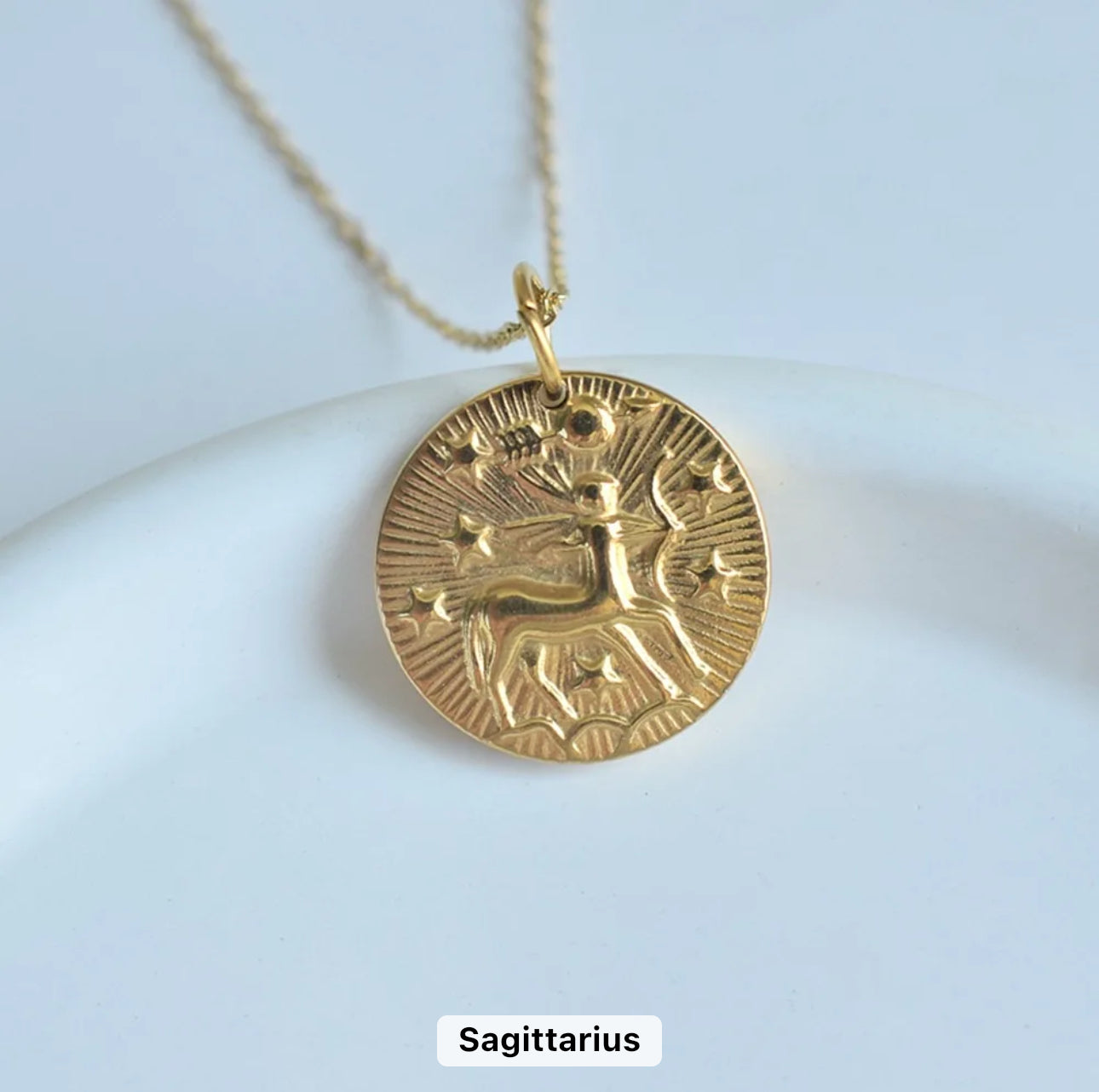 Gold Zodiac Medallion Necklace (Stainless Steel)
