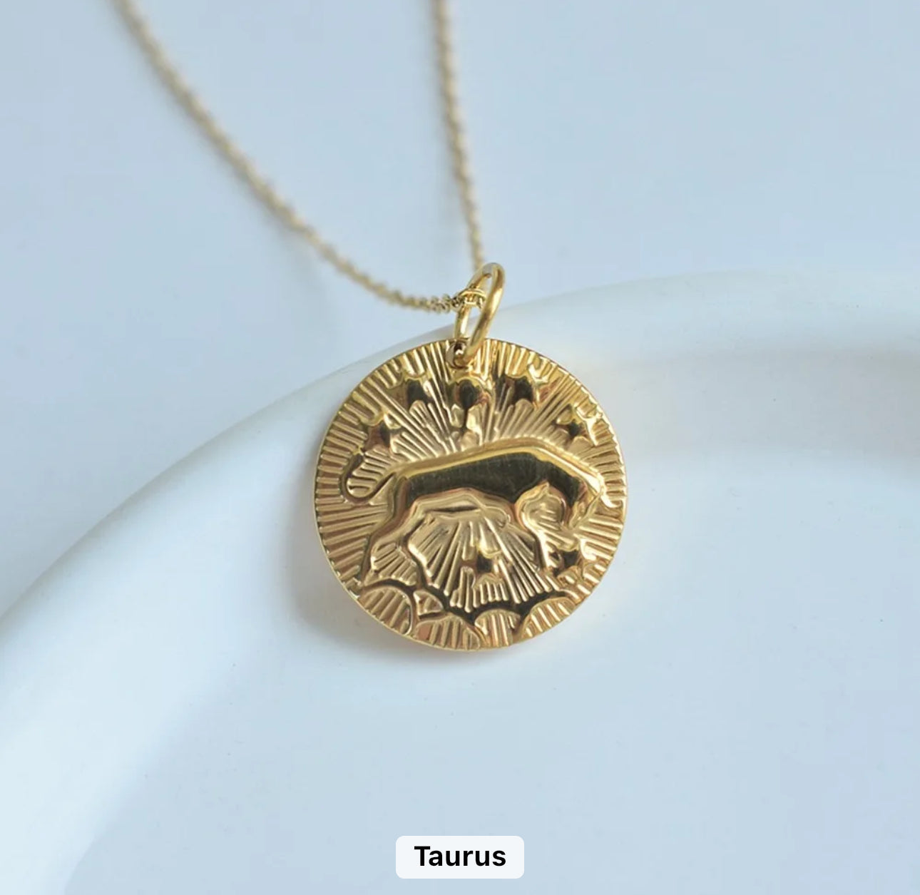 Gold Zodiac Medallion Necklace (Stainless Steel)