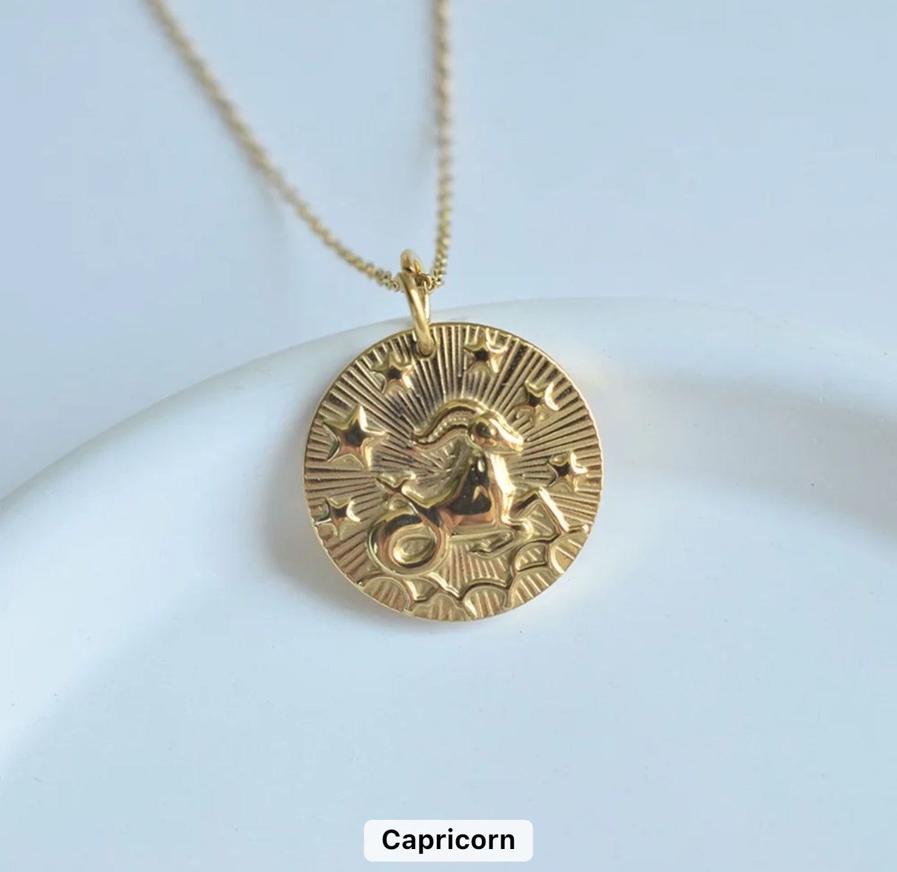 Gold Zodiac Medallion Necklace (Stainless Steel)