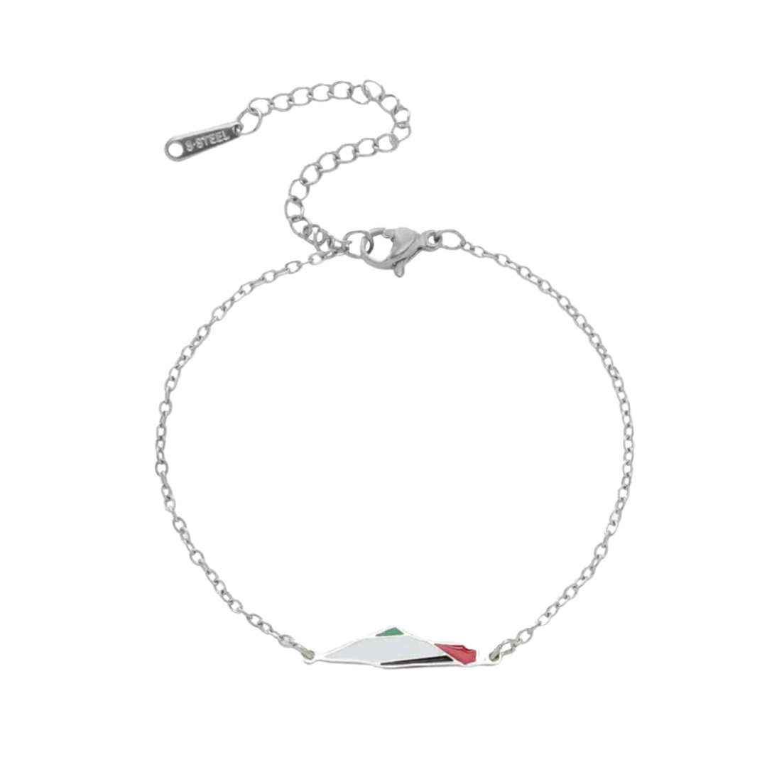 Silver Enamel Map Bracelet
