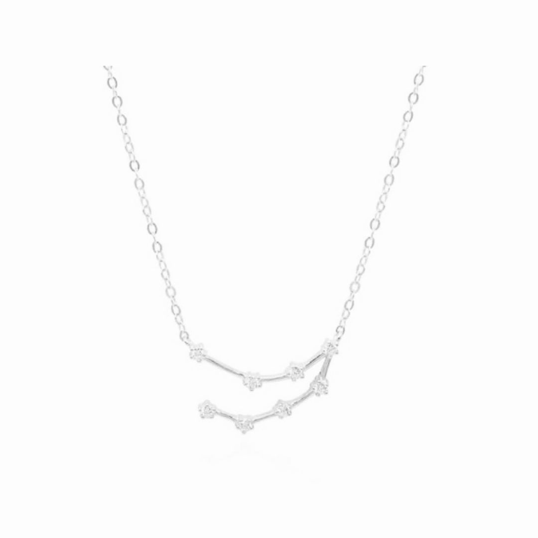 Silver Constellation Necklace (S.Steel)